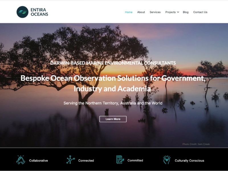 Entira Oceans